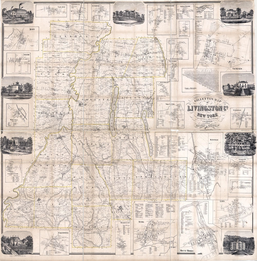 1858 Farm Line Map of Livingston County New York from actual surveys