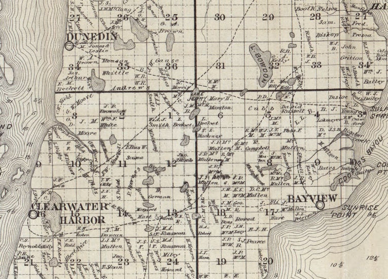 1882 Map of Hillsborough County Florida
