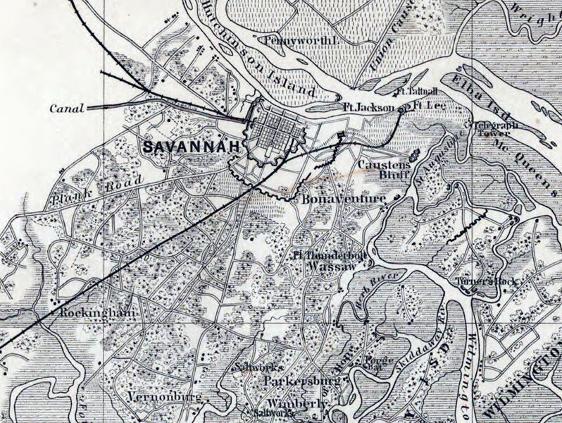 1861 Map of The Environs of Savannah Georgia Reproduction