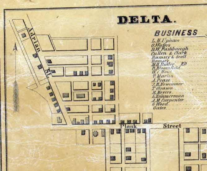 1850 Farm Line Map of Fulton County Ohio Delta Wauseon