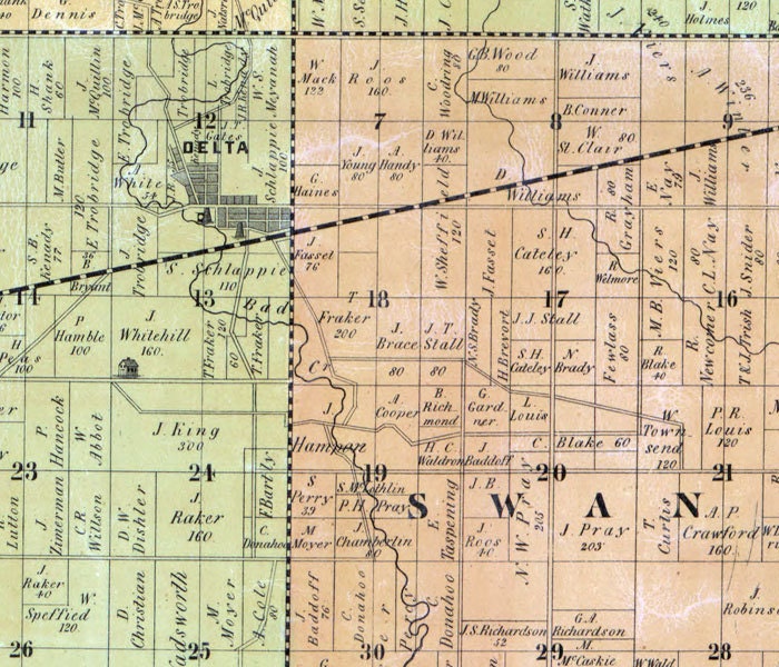 1850 Farm Line Map of Fulton County Ohio Delta Wauseon