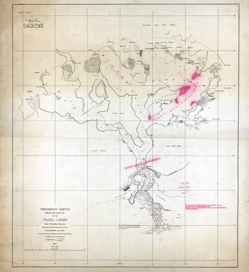 1873 Map of Pearl Lochs Oahu Hawaiian Islands