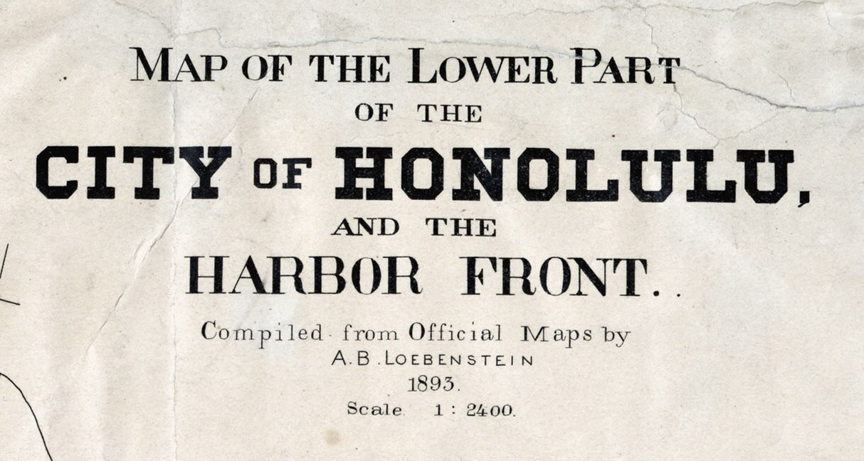 1893 Map of Lower Part of Honolulu Hawaii