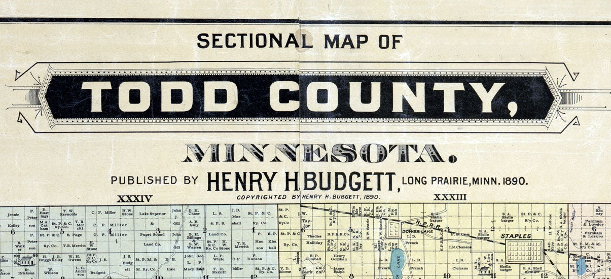 1890 Farm Line Map of Todd County Minnesota Long Prairie