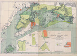 1919 Map of Chugach National Forest Alaska