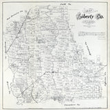 1879 Map of Liberty County Texas
