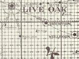 1914 Map of Suwannee County Florida