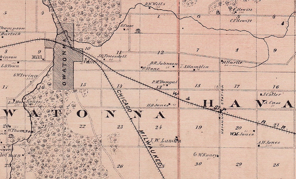 1874 Map of Steele County Minnesota