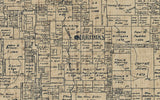 1890 Farm Line Map of Bosque County Texas