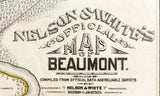 1902 Cadastral Map of Beaumont Texas