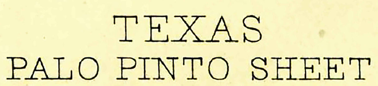 1891 Topo Map of Palo Pinto Texas - Erath - Parker - Young