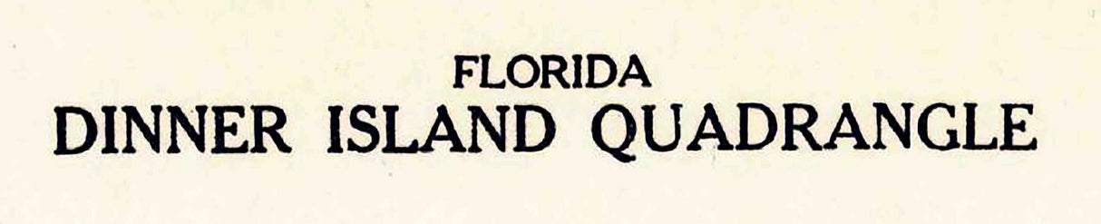 1937 Topo Map of Dinner Island Quad Florida - St. Johns County