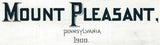 1900 Panoramic Map of Mount Pleasant Pennsylvania