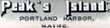1886 Panoramic Map of Peaks Island Portland Harbor Maine