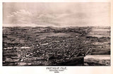 1894 Panoramic Map of Presque Isle Aroostook County Maine