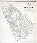 1879 Farm Line Map of Bee County Texas