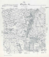 1879 Farm Line Map of Taylor County Texas