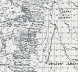 1879 Farm Line Map of Taylor County Texas