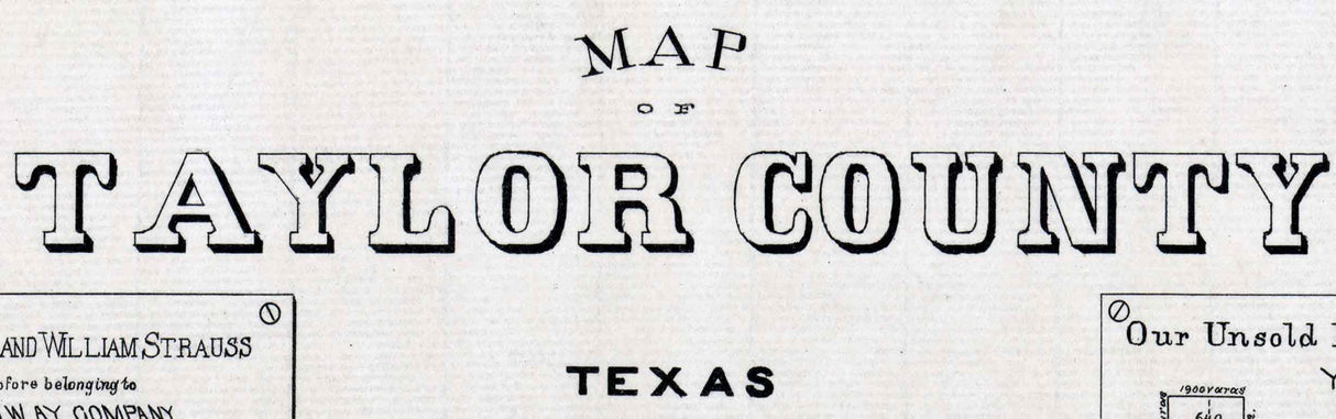 1890 Farm Line Map of Taylor County Texas