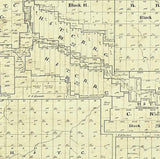 1893 Farm Line Map of Irion County Texas