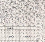 1894 Farm Line Map of West Part of Tom Green County Texas