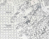 1877 Farm Line Map of Dimmit County Texas