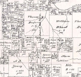 1880 Farm Line Map of Morris County Texas