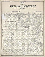 1879 Farm Line Map of Briscoe County Texas