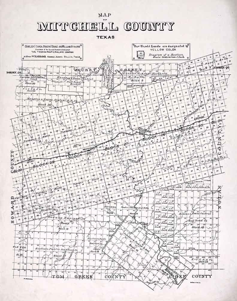 1890 Farm Line Map of Mitchell County Texas