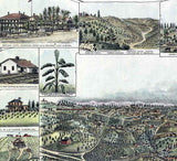 1887 Panoramic Map of Auburn California