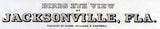 1876 Panoramic Map of Jacksonville Florida