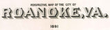 1891 Panoramic Map of Roanoke Virginia