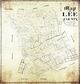 1888 Farm Line Map of Lee County Texas