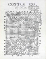 1891 Farm Line Map of Cottle County Texas