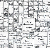 1891 Farm Line Map of Cottle County Texas
