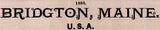 1888 Panoramic Map of Bridgton Maine