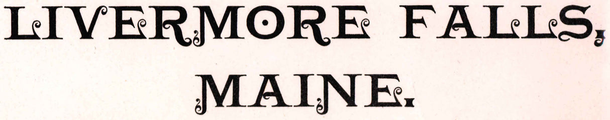 1889 Panoramic Map of Livermore Falls Maine