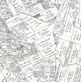 1879 Farm Line Map of Bee County Texas