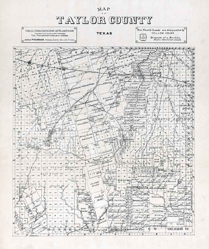 1890 Farm Line Map of Taylor County Texas