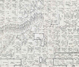 1894 Farm Line Map of Menard County Texas