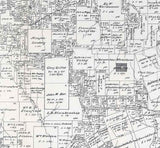 1879 Farm Line Map of Harrison County Texas