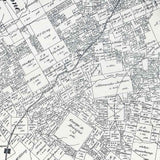 1879 Farm Line Map of Leon County Texas