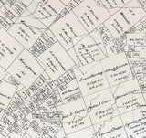 1879 Farm Line Map of Trinity County Texas