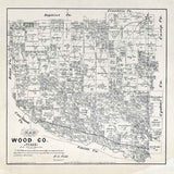 1879 Farm Line Map of Wood County Texas