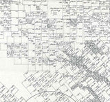 1880 Farm Line Map of Duval County Texas