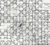 1891 Farm Line Map of Lynn County Texas