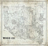 1895 Farm Line Map of Wood County Texas