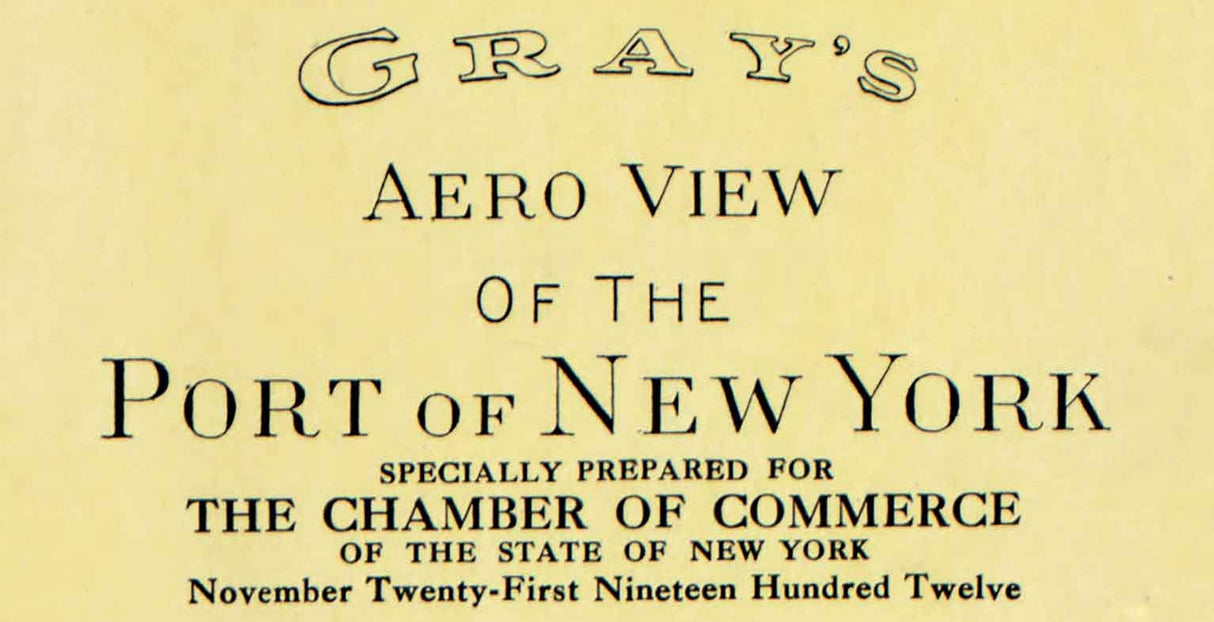 1913 Aerial View of the Port of New York