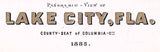 1885 Panoramic Map of Lake City Florida