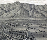 1893 Panoramic Map of San Gabriel California